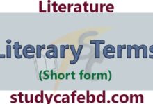 Literary terms is most important for Literature by studycafebd.com