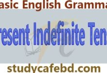 Present Indefinite Tense কি