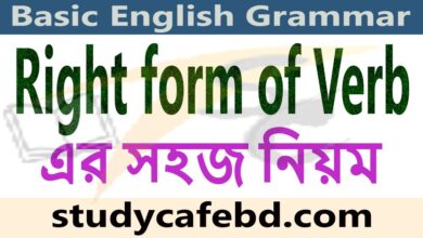 Rules of Right form of Verbs